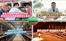 高温天气总觉得身体不舒服，中医三重调养法，记得看完转给家里人丨《今日驻马店》资讯第297期发布